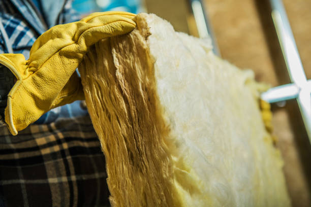 Professional Insulation Contractor in KS
